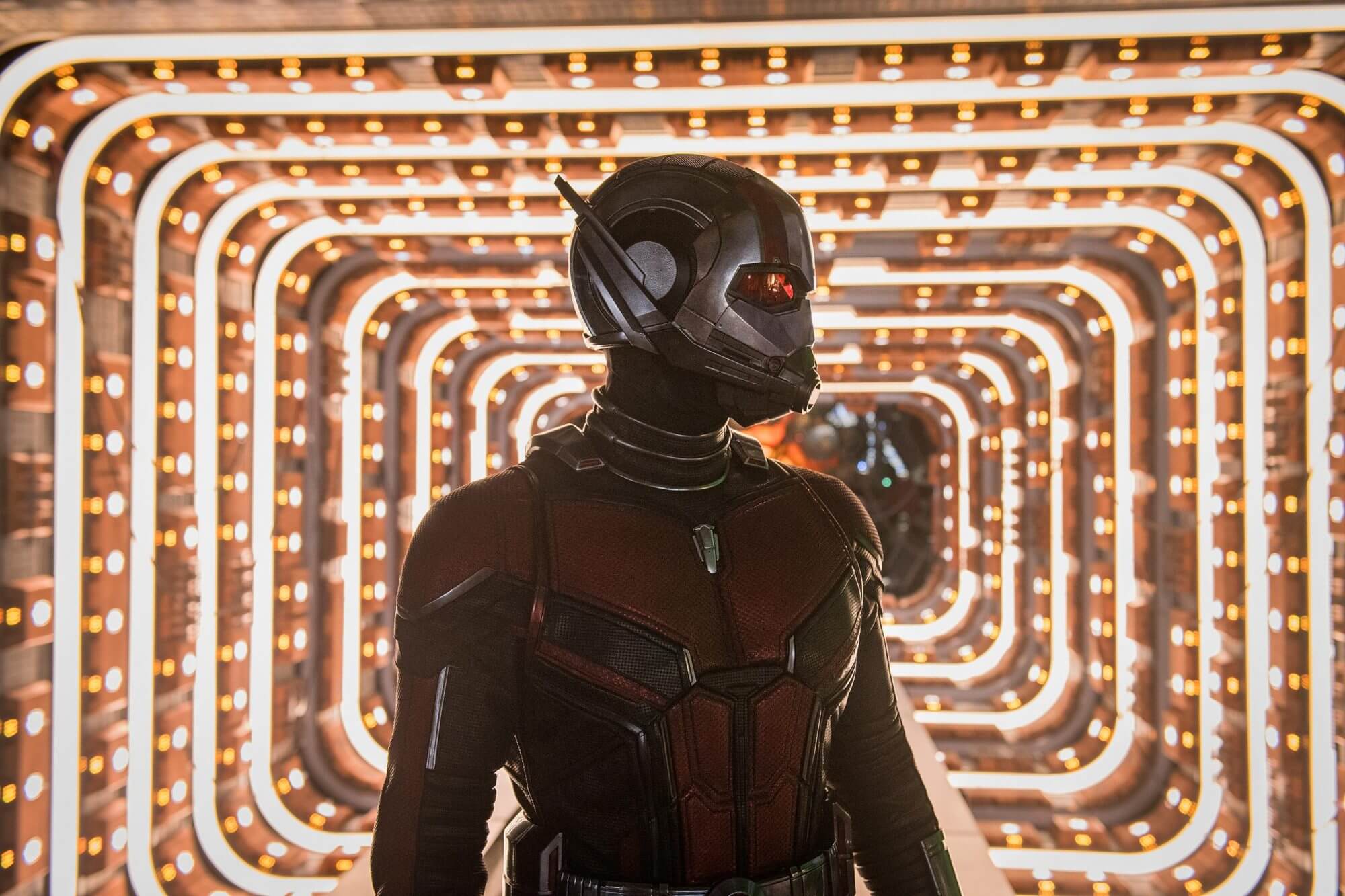 ant man ant man
