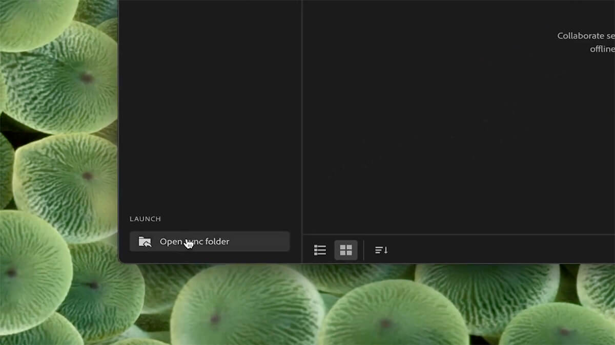 크리에이티브 클라우드 앱 Adobe Creative Cloud 동기화 폴더