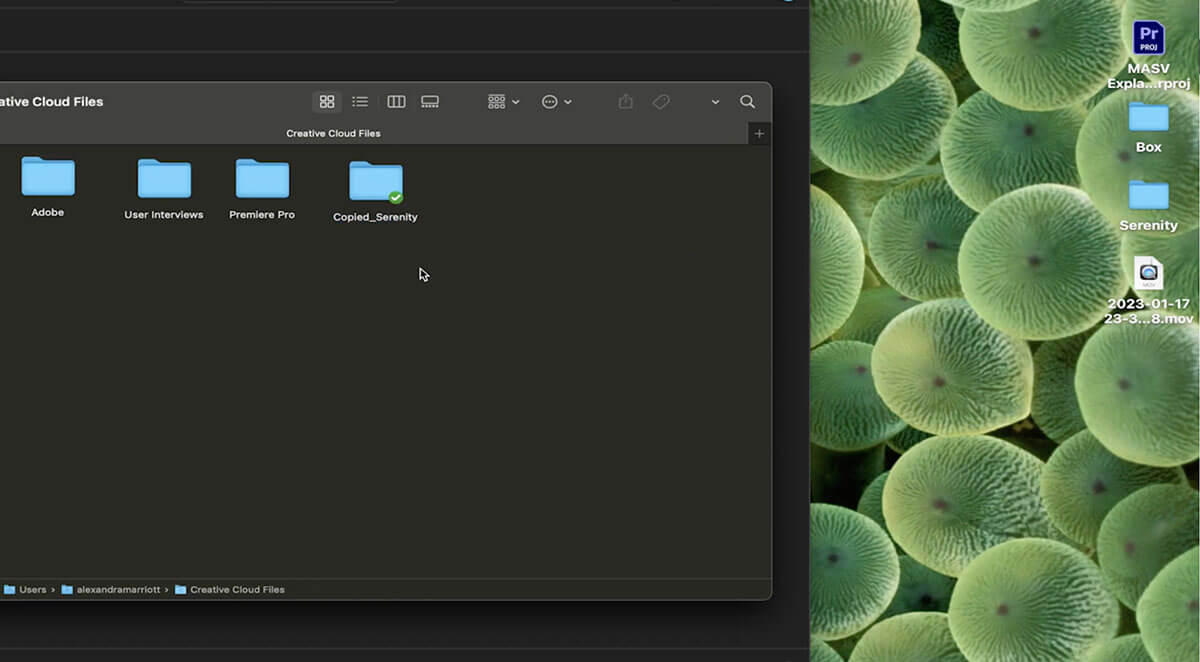 크리에이티브 클라우드 Adobe Creative Cloud 파일 창