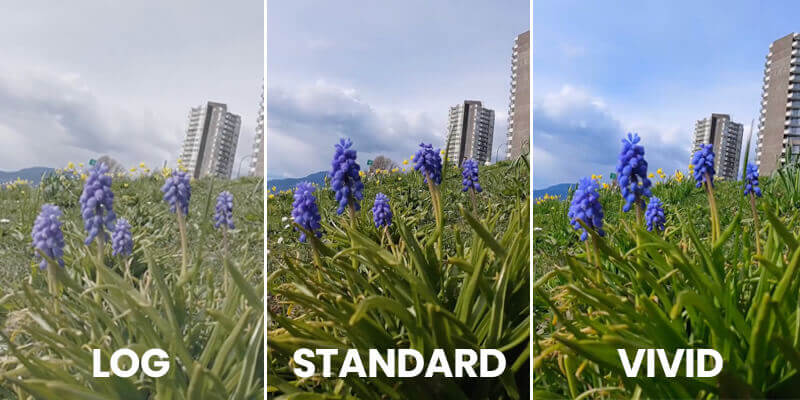 insta360-color-modes Log, standard, and vivid color modes in the Insta360 ONE RS