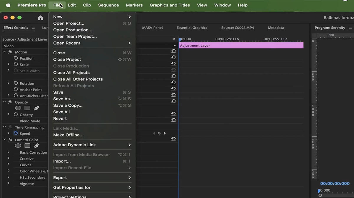 Premiere Pro Adobe 프로젝트 관리자 메뉴 항목