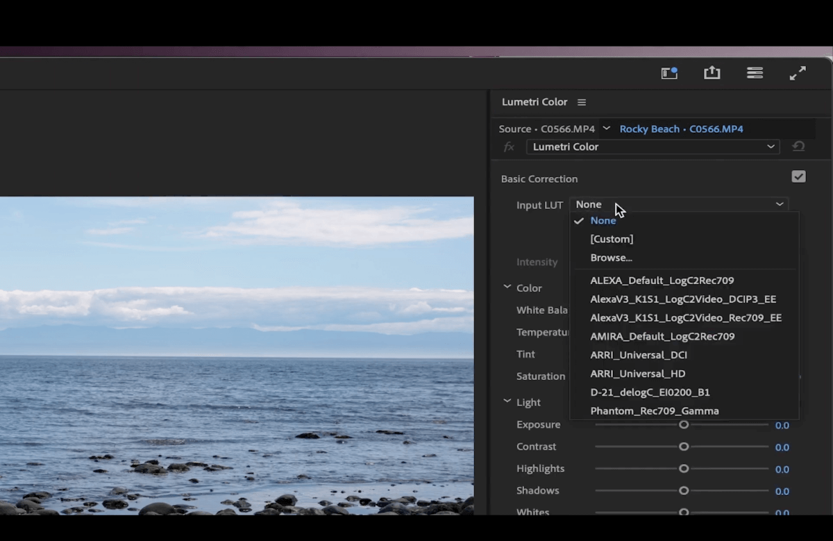 basic-correction-input-LUT-premiere-pro basic correction input LUT premiere pro