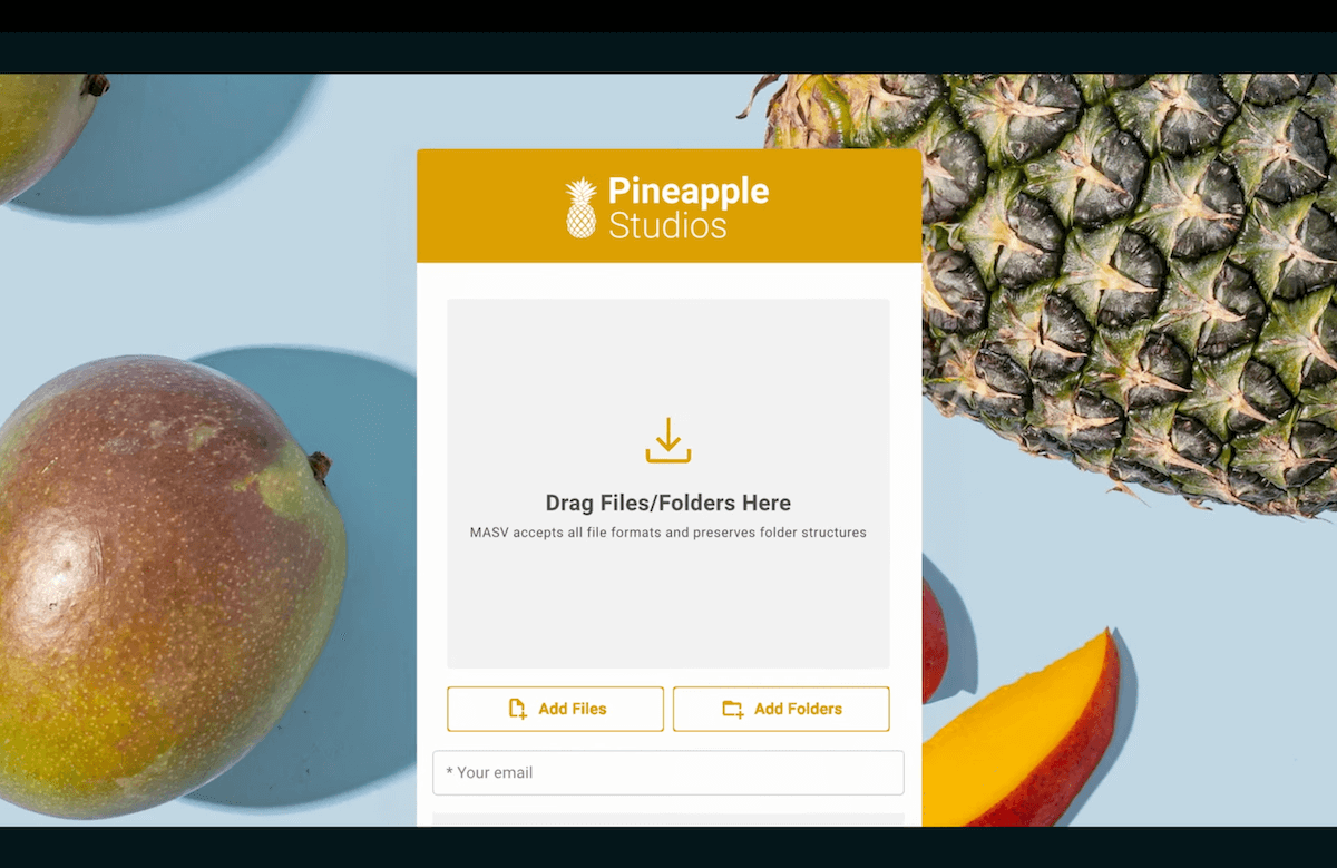 custom branding MASV portal 플레이스홀더 이미지