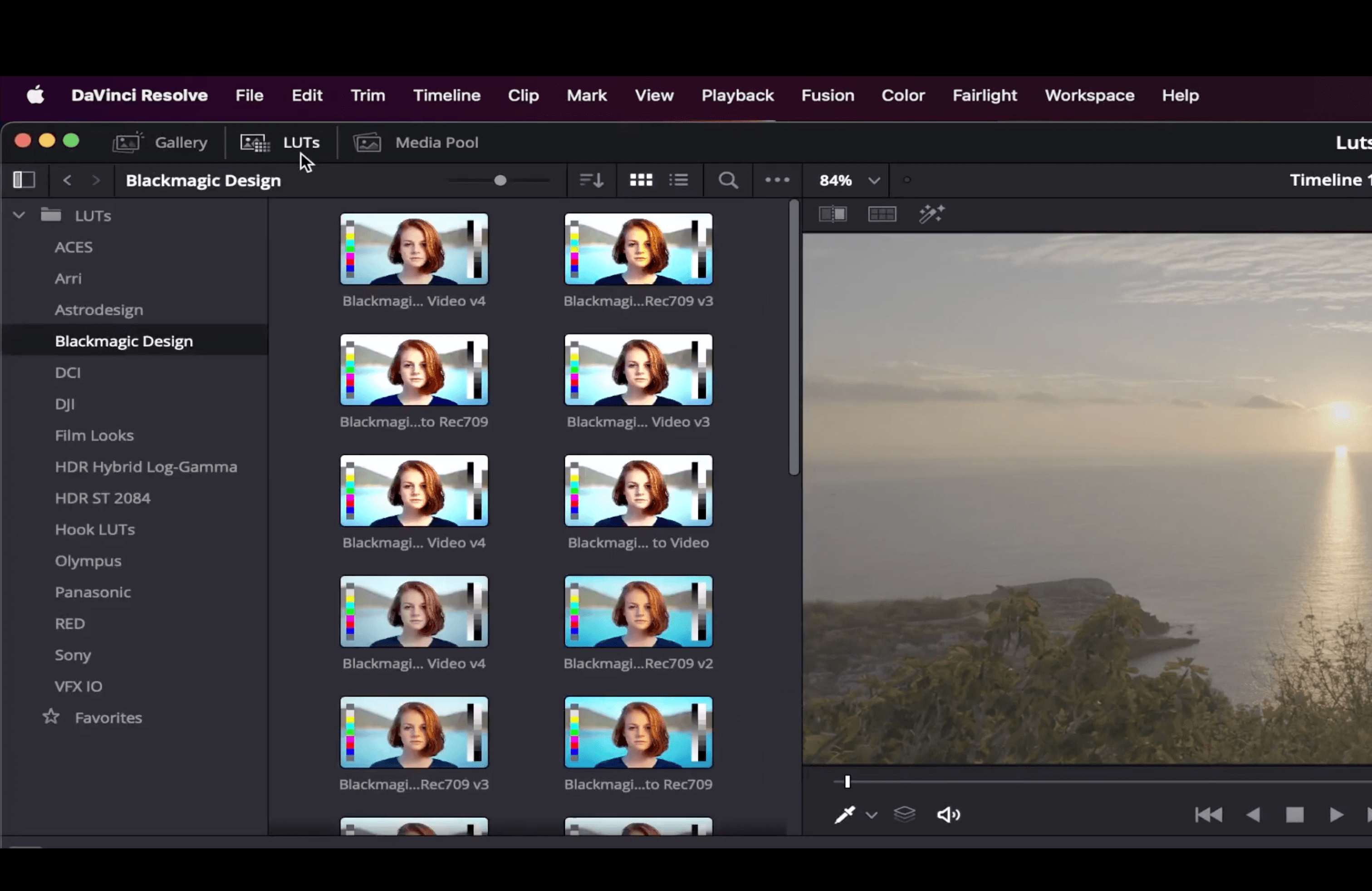 LUTs-tab-davinci-resolve LUTs tab davinci resolve
